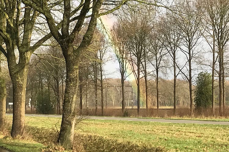 Bravery at work | Teamontwikkeling | Astrid van der Laan